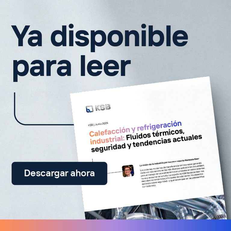 B2B Marketing-Asset über ein Whitepaper auf Spanisch