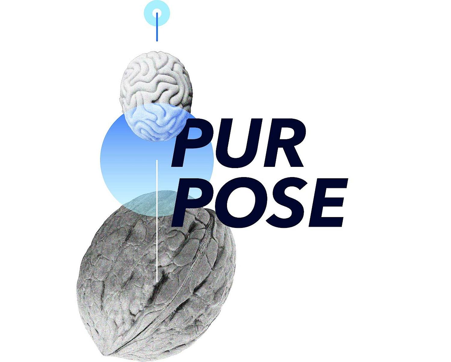 Word "Purpose" with walnut and brain